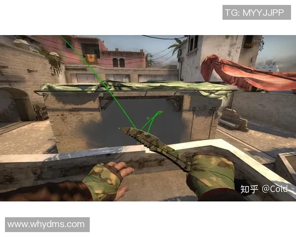 CSGO战术解析：深入探讨JDG在比赛中的控制策略与表现