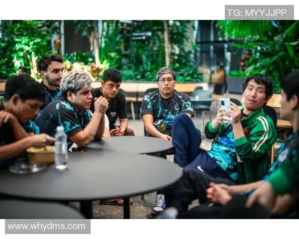 DOTA2意识实力榜单权威发布揭示顶尖选手潜力与战术智慧