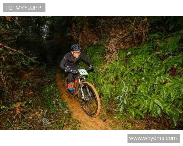 广州极限运动队如何推动个人能力变革与团队协作的热议探讨