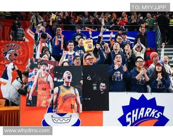 上海男篮与深圳季后赛激战正酣谁能在这场较量中脱颖而出 上海男篮与深圳季后赛激战正酣谁能在这场较量中脱颖而出